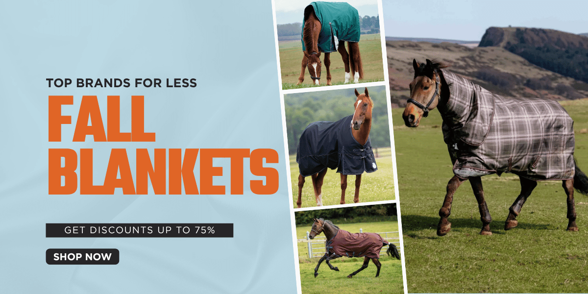 Shop Lightweight Blankets for Fall