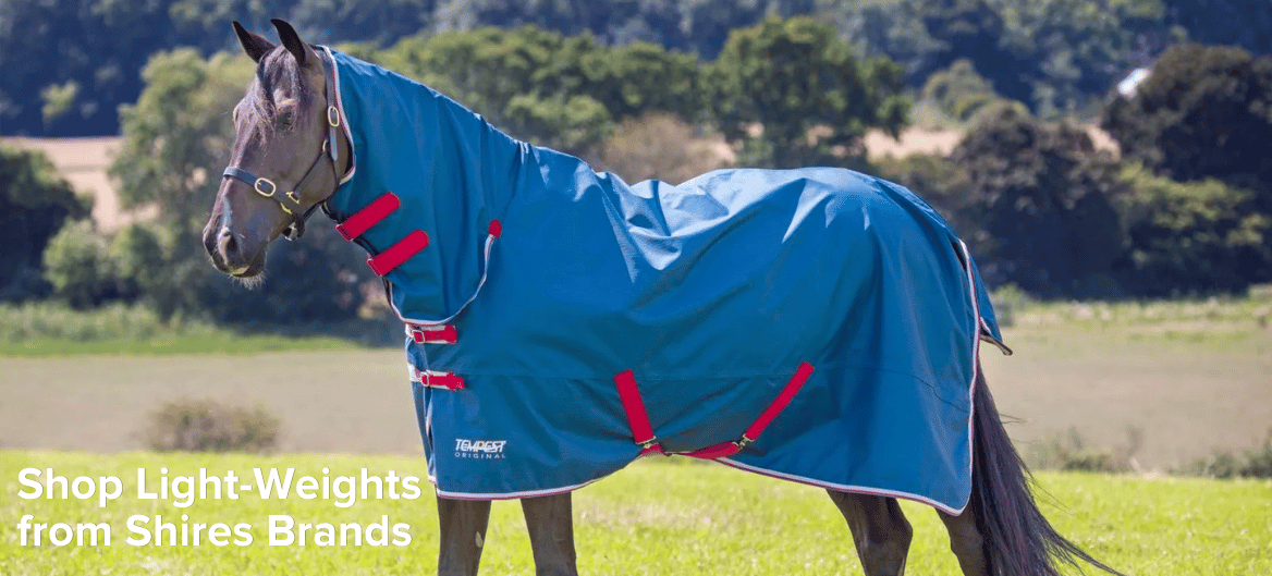 Shop Shires Tempest & Highlander Lightweight Blankets