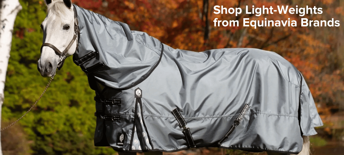 Light-Weights from Equinavia Brands