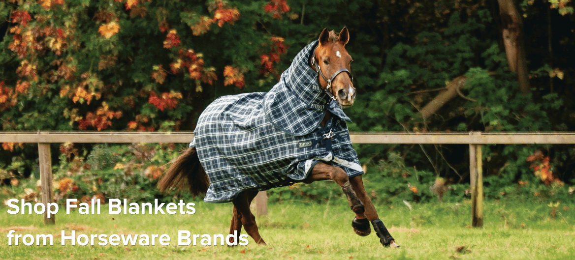 Shop Lightweight Turnouts from the Horseware Family of Blanket Brands.