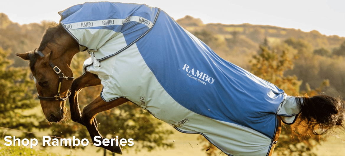 Check out the Rambo Series