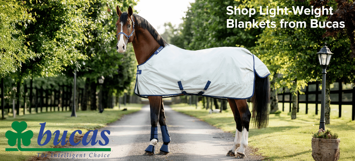 Bucas Lightweight Blankets