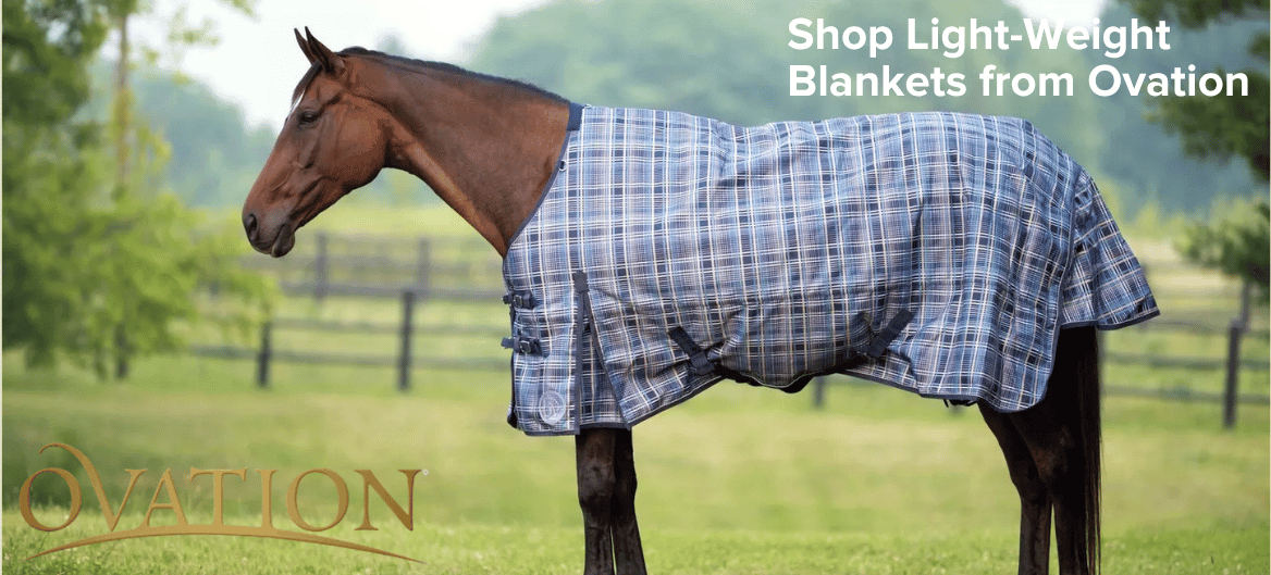 Ovation Fall Blankets