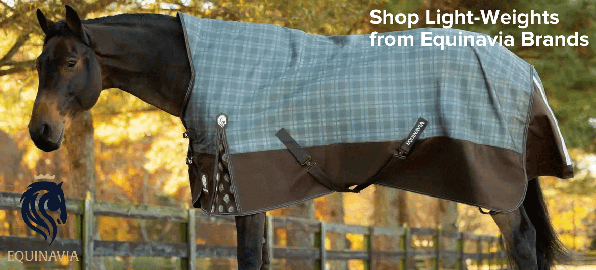 Light-Weights from Equinavia Brands