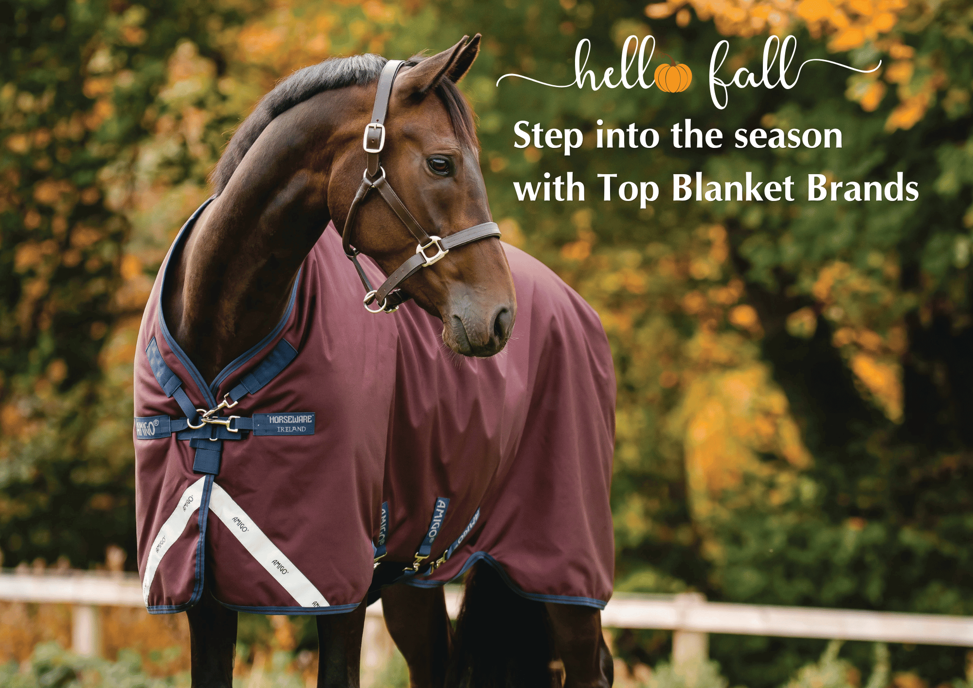 Shop for Lightweight Turnouts for Fall