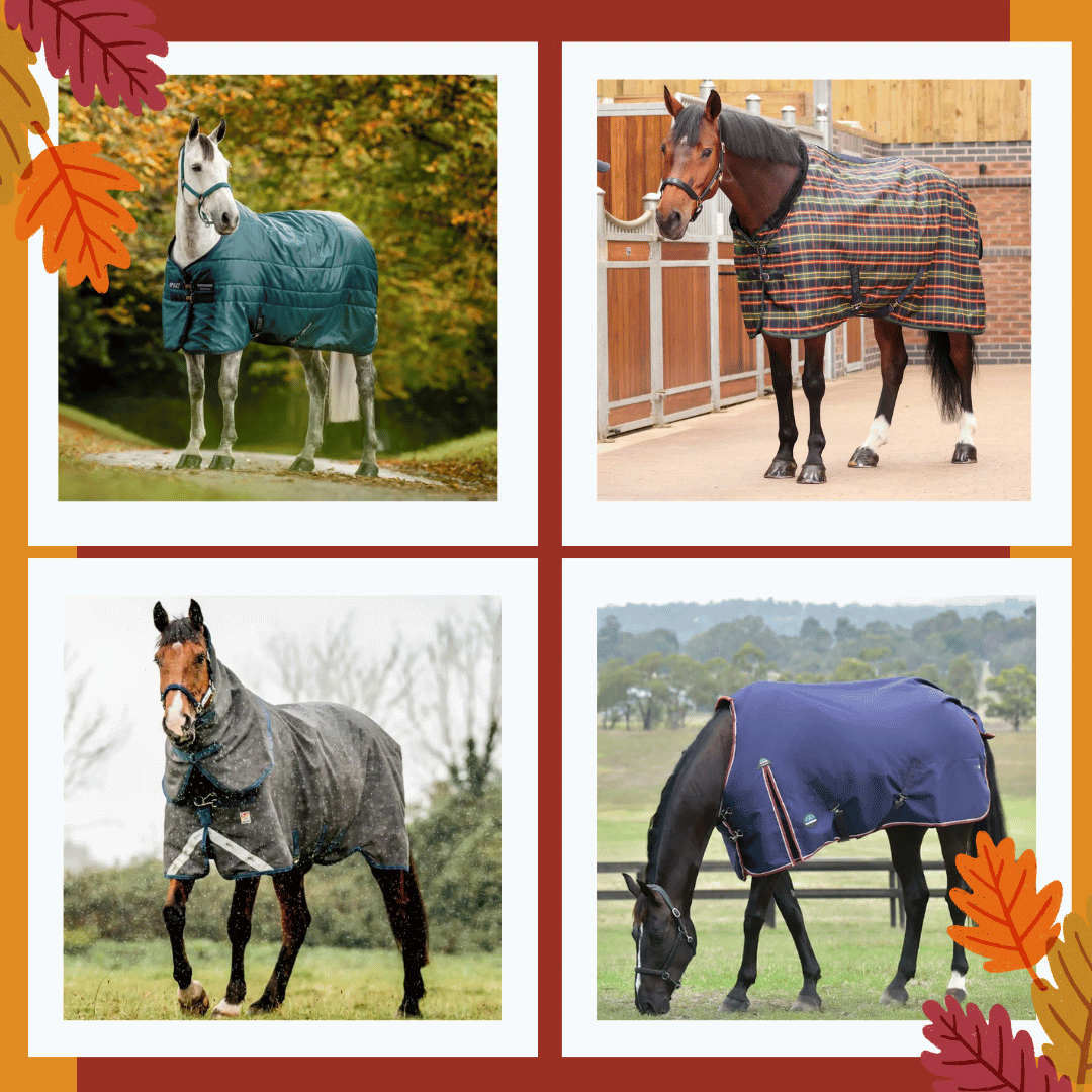Fall Blankets