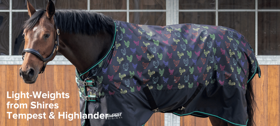 Shop for Shires Tempest & Highlander Lightweights