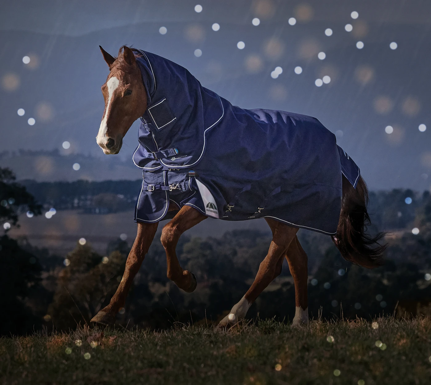 Shop for Weatherbeeta Essentials, Dynamic II and Ultras