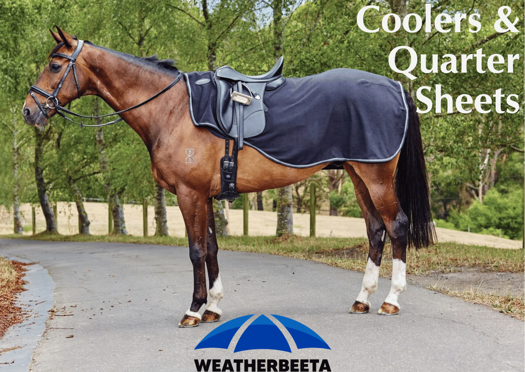 Shop for Weatherbeeta Coolers & Quarter Sheets