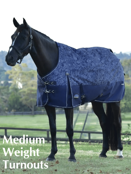 Shop for Weatherbeeta Medium Weight Turnout Blankets