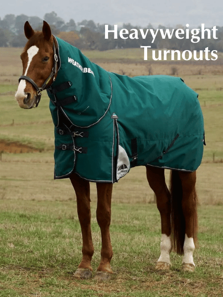 Shop for Weatherbeeta Heavyweight Turnout Blankets