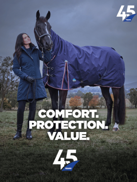 Get the Best Weatherbeeta Blanket for YOUR horse
