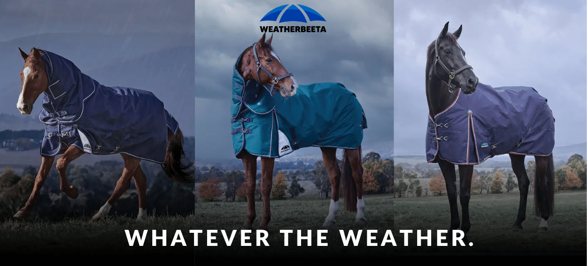Weatherbeeta: Whatever the Weather