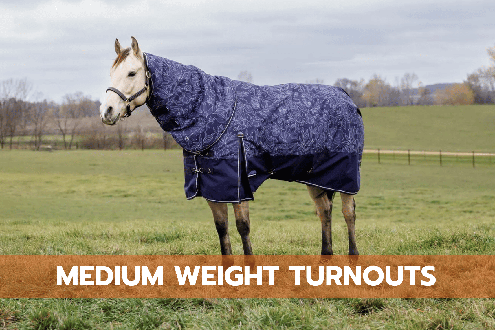 Medium Weight Turnouts