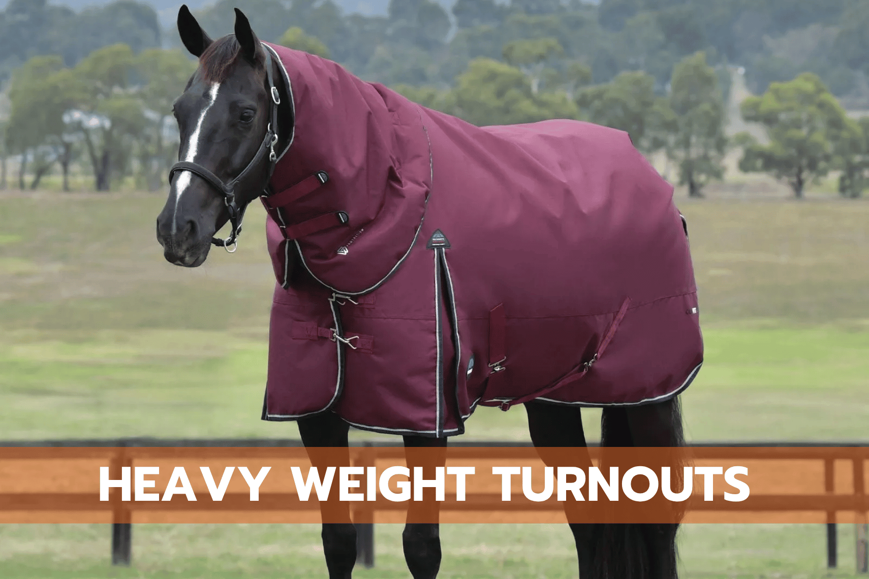 Heavy Weight Turnouts