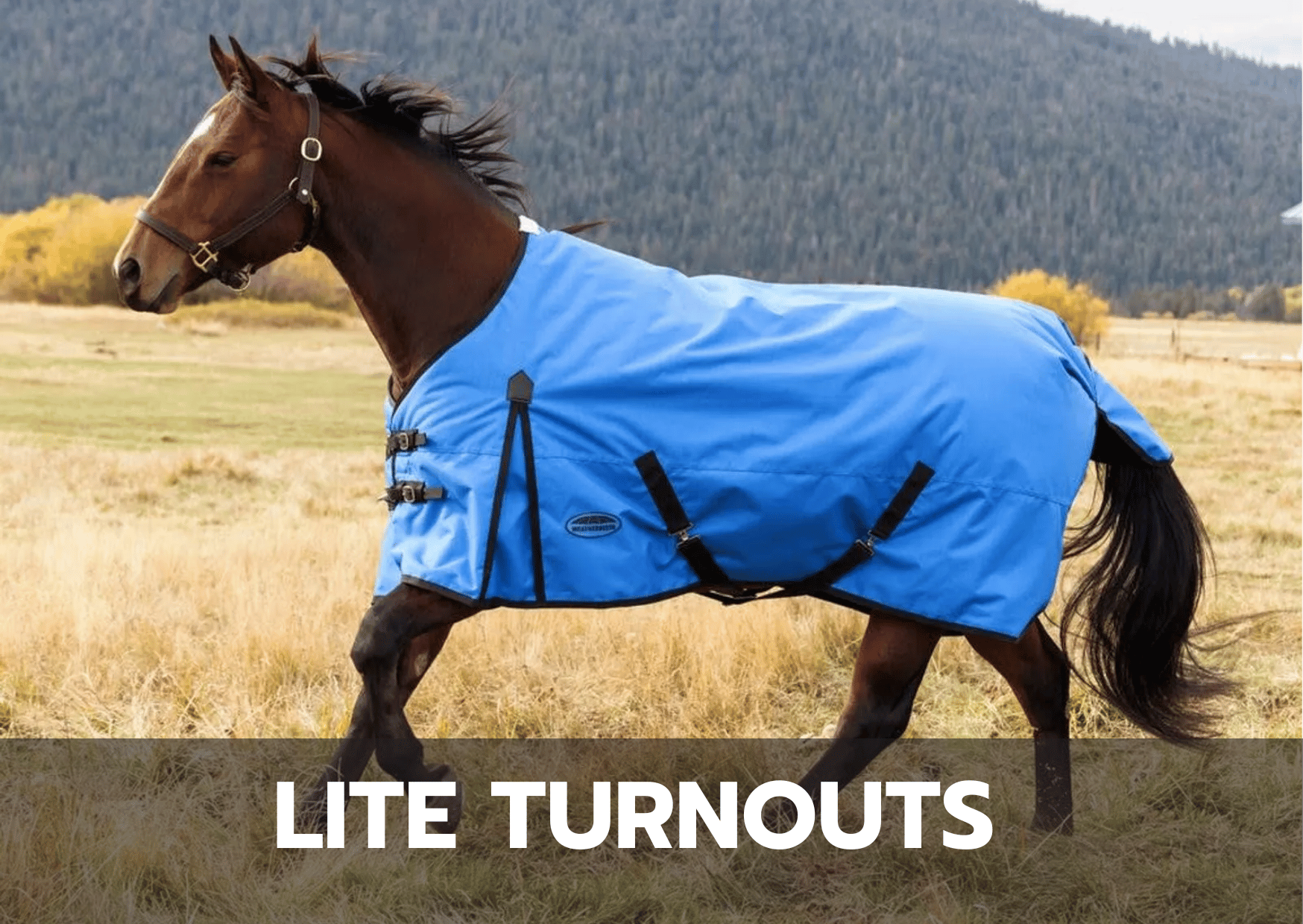 Weatherbeeta Lite Turnouts