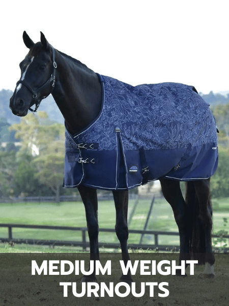 Medium Weight Turnouts