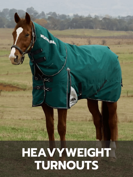 Heavyweight Turnouts