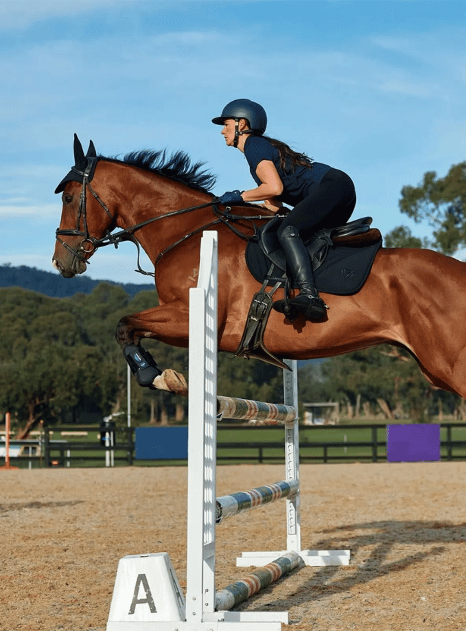 Weatherbeeta All Purpose Saddle Pads