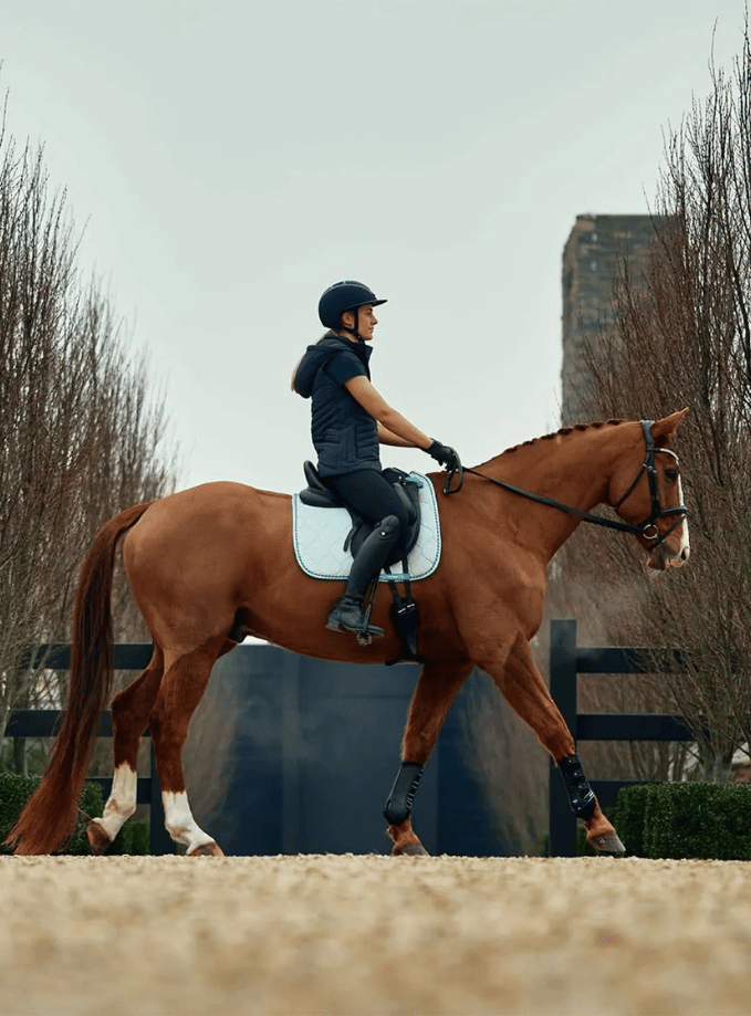Weatherbeeta Dressage Saddle Pads