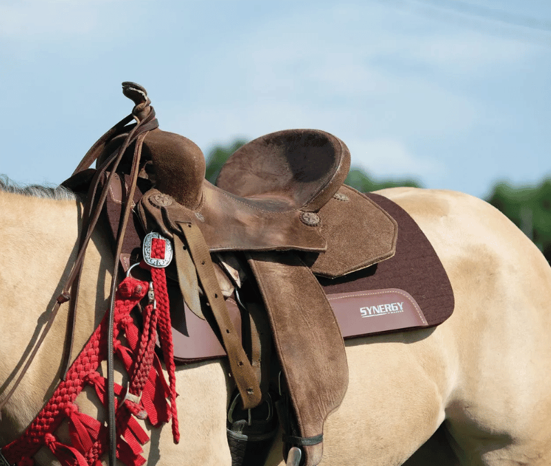 Weaver 1" Synergy Contour Steam Pressed Merino Wool Felt Performance Saddle Pad
