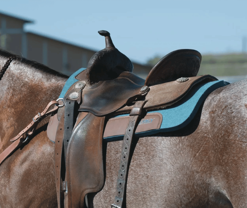 Weaver Saddle Pads