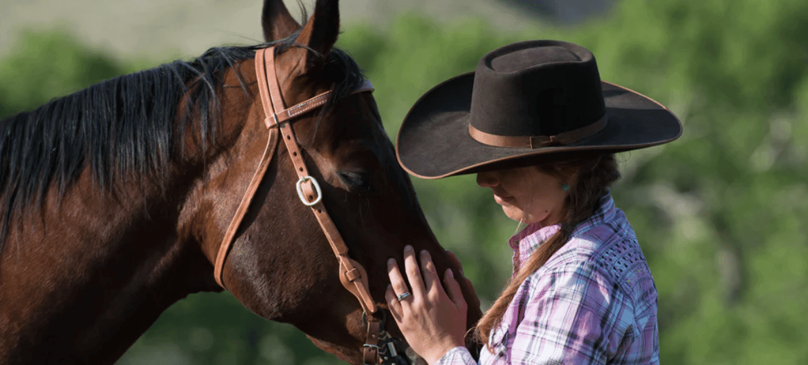 Shop Weaver Bridles & Reins