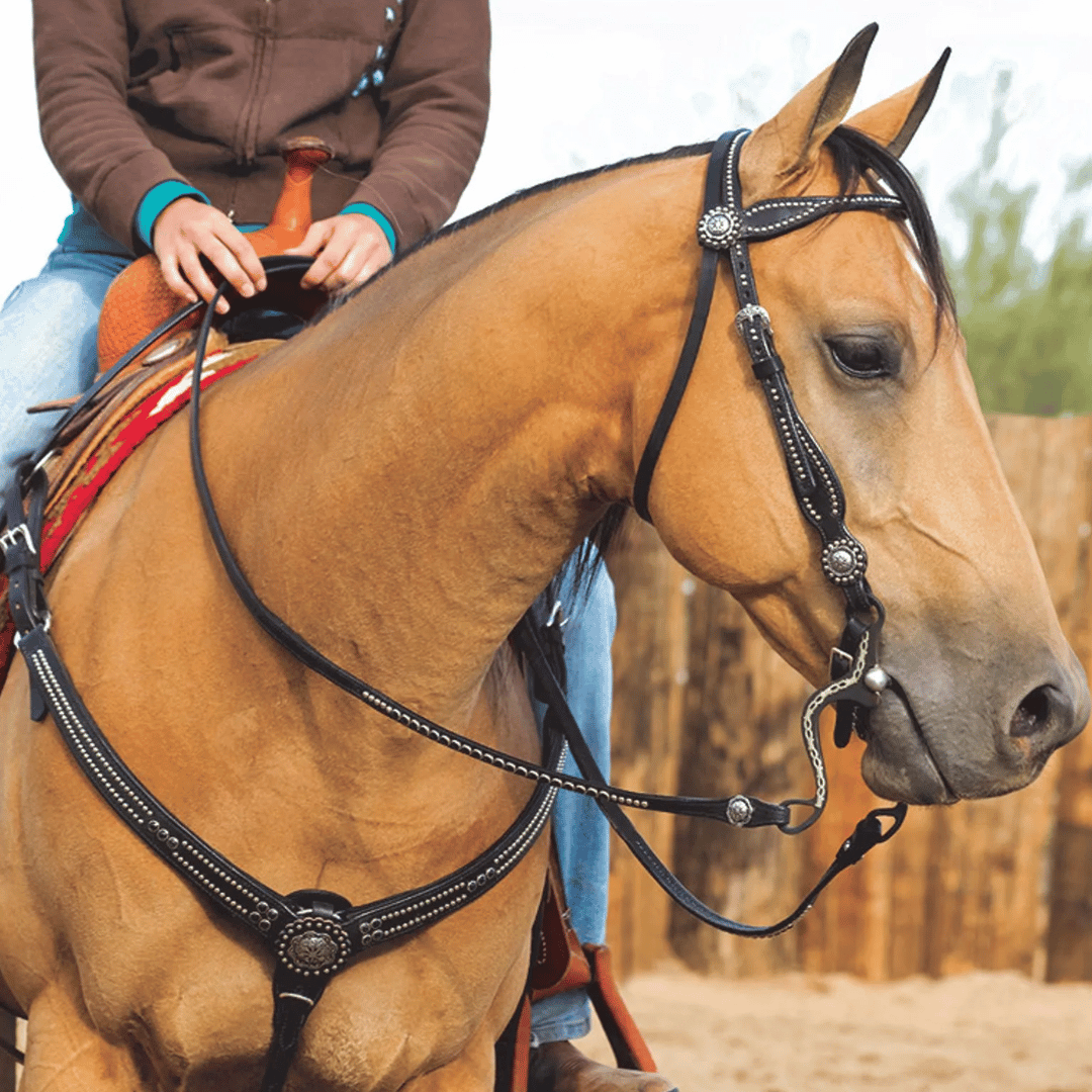 Weaver Back in Black Browband Headstall
