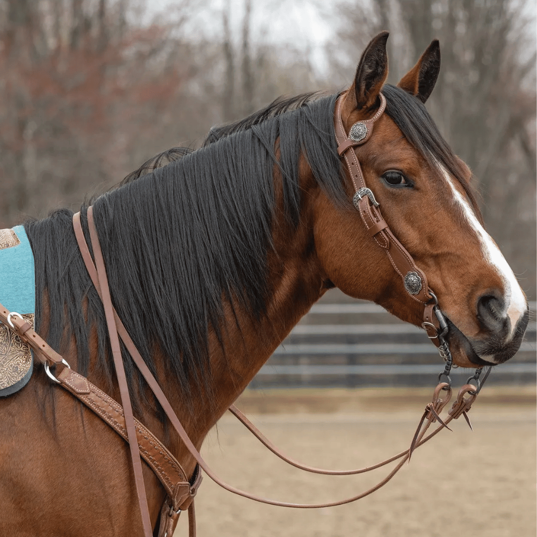 Weaver 1" Contoured Sliding Ear Headstall