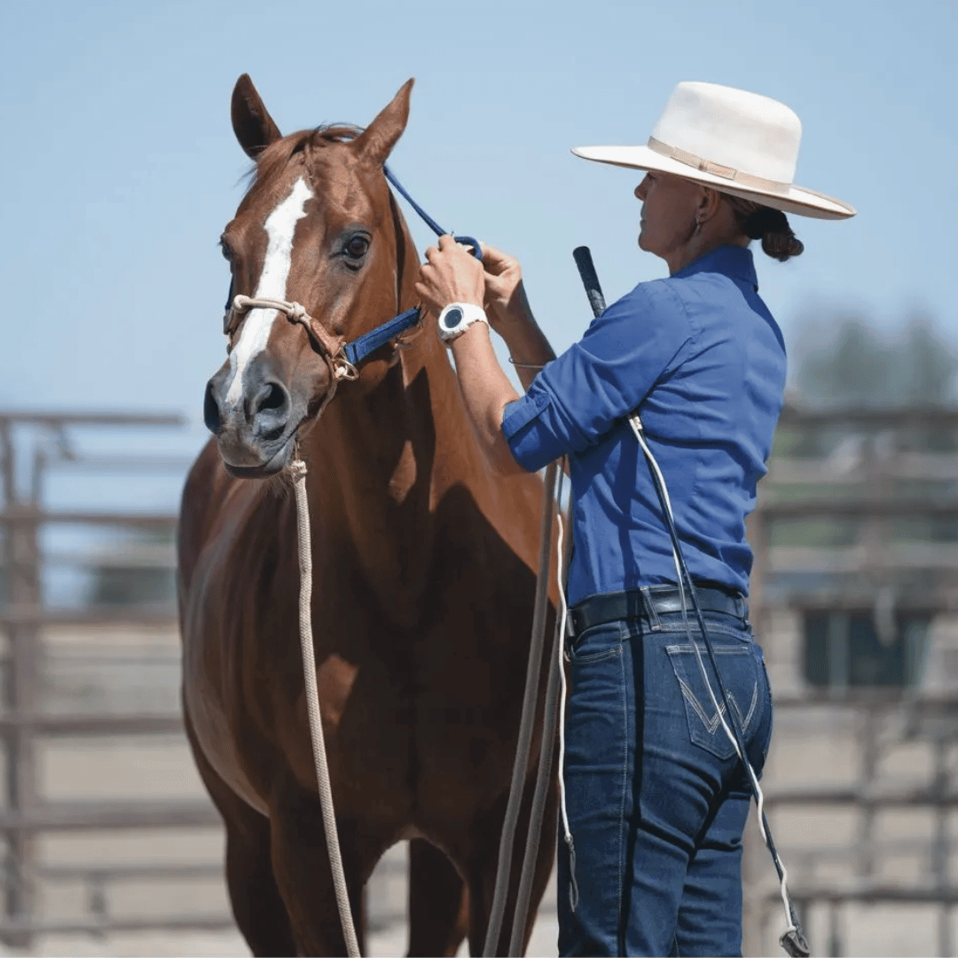 Weaver Kalley Krickeberg Nylon & Rope Horseman's Halter